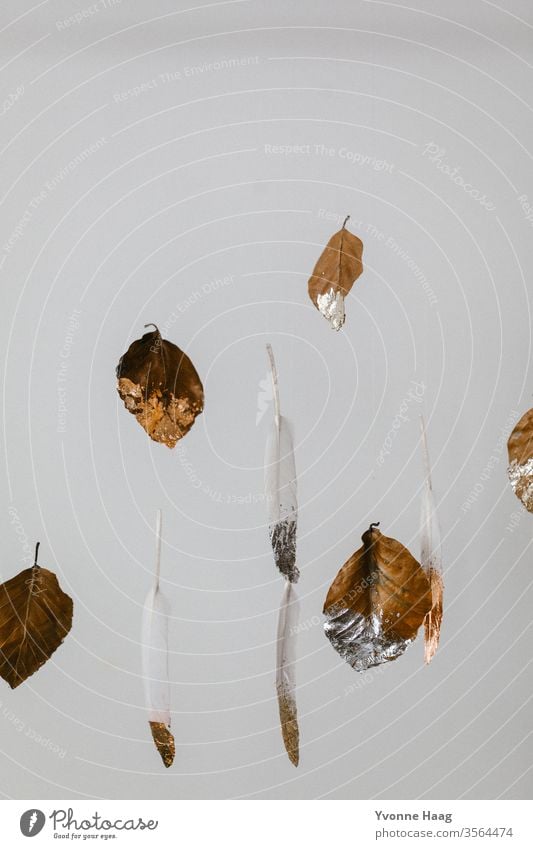 Leaves and feathers float in the air leaves Feather Hover White Colour photo gold edge Silver Gold Flying Floating white background Brown brown leaves Autumn