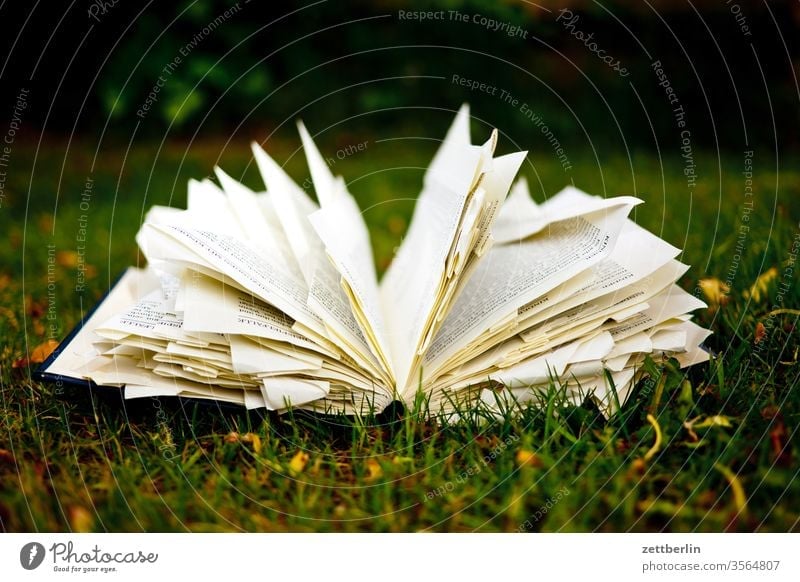 Book on the meadow in the garden Fiction Library Dog-ear Reading Reading matter Bookmark Literature Novel browse Academic studies Garden Meadow Grass Lie