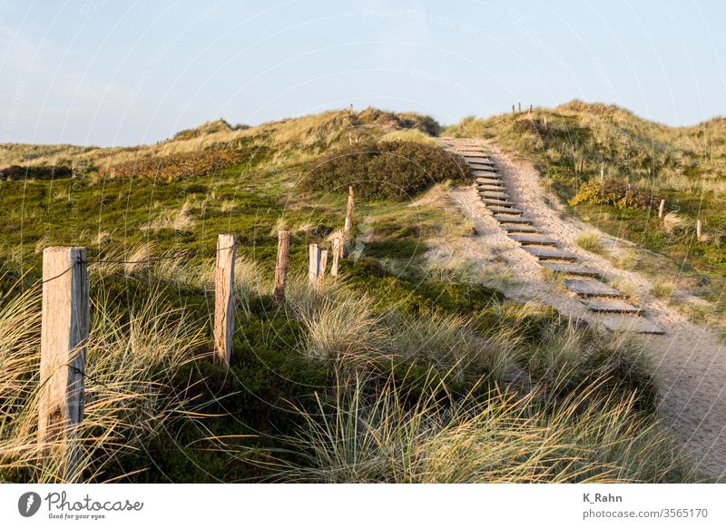 Road to the sea Coast Ocean ocean Sand Schleswig-Holstein run aground vacation Weather Fence Relaxation Frisia Grass Island North Sea Trail travel Sylt Tourism