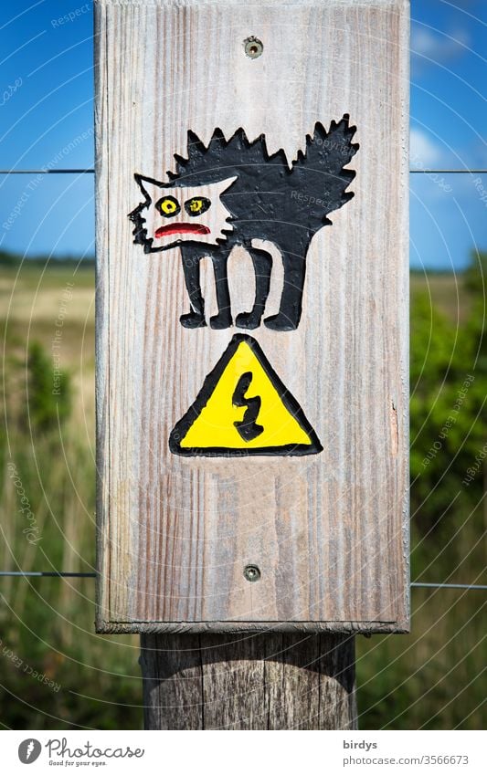 Funny warning sign which warns of the danger of electric shocks. Electrified cat's hair stands on end stream electricity Electrocution warning board