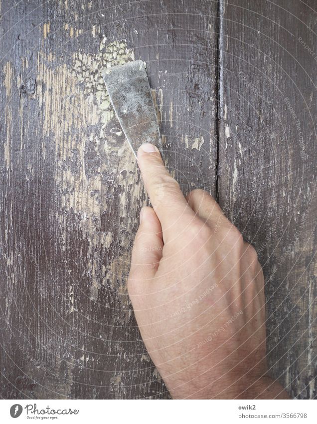 Scratching by hand Fingers Colour photo Close-up Work and employment door scrape off putty knife wood Metal Diligent untiringly patience Endurance board wall