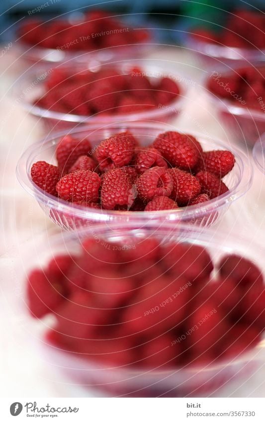 Many round plastic bowls, with red, healthy, fresh, picked raspberries, stand on a table from the market, distributed in portions, ready for sale. After the harvest, ripe berries are sold by the farmer at the market stall.