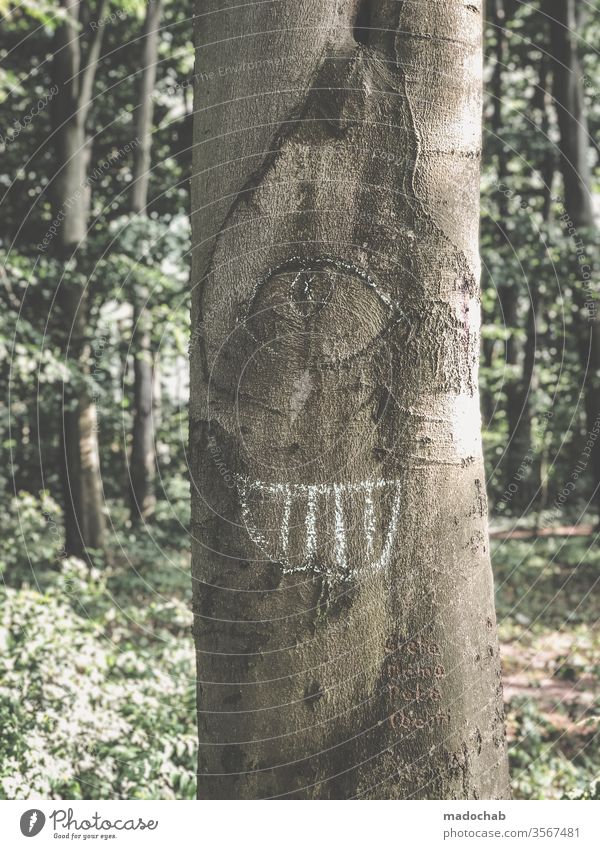 cyclops Eyes Looking tree Nature Tree trunk Face Funny Laughter Grinning portrait Forest Joy Mouth Happiness Colour photo joke