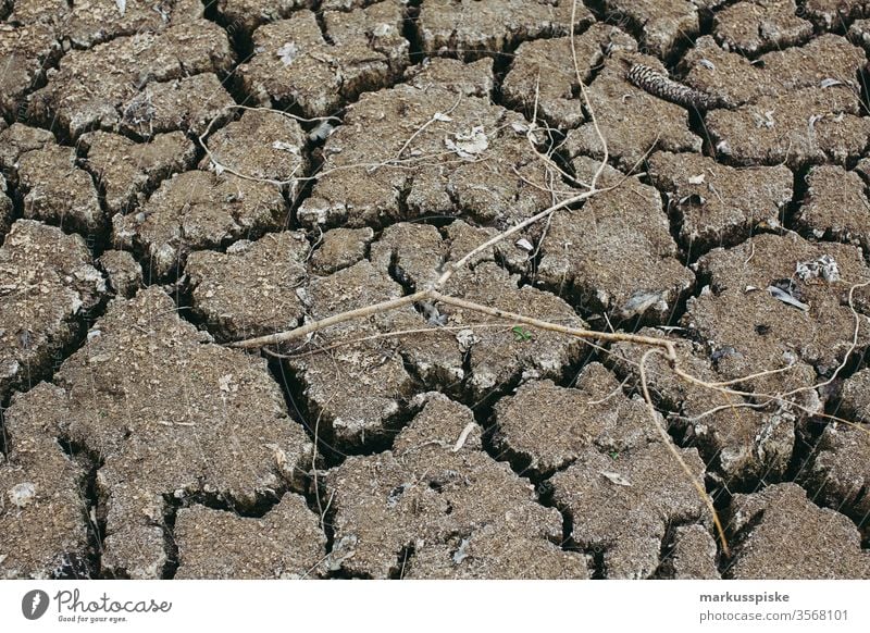 parched earth Dry Drought drought Earth Ground humus rich Agriculture agricultural area