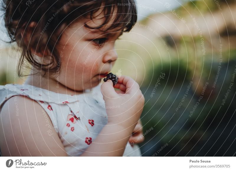 Little girl eating blackberries Blackberry Blackberry bush Child Organic produce Healthy Healthy Eating Lifestyle Caucasian Diet Delicious Blueberry Close-up