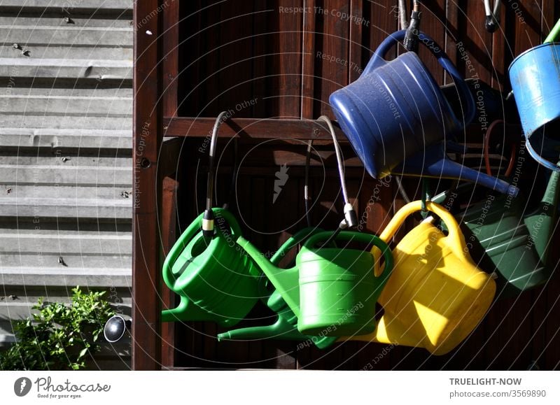 Taken literally | The watering can principle. Blue, green, yellow watering cans hung on a dark brown wooden wall and secured with bicycle locks glow cheerfully in the sunlight