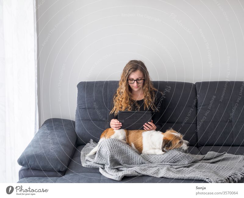 Junge Frau sitzt mit einem Tablet auf einem kleinen Hund auf einem grauen Sofa frau jung tablet Terrier Tablet computer Stayhome Lifestyle lesen gemütlich
