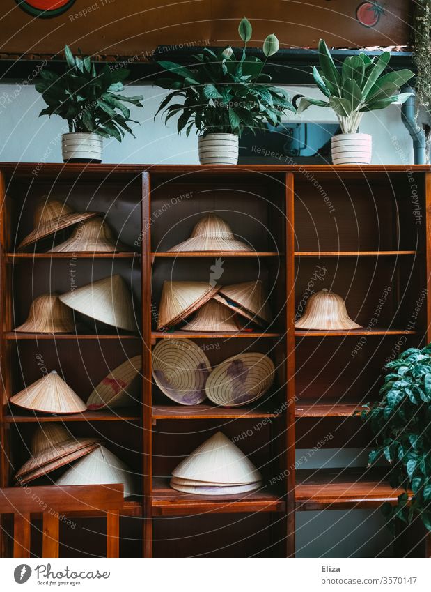 A shelf with many different Asian conical hats, also called rice hats, in Vietnam conical cap Shelves traditionally Decoration wood plants Tradition Headwear