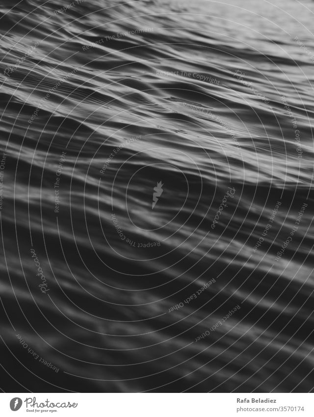 Small wave in the middle of a calm sea Wave Nature Ocean Sea Calm Beach Black & white photo Water