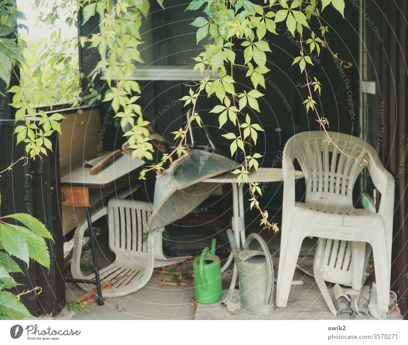 Spittoon Junk Camping chairs disorder Watering can Muddled overgrown vine bungalow Flake Corner Colour photo Deserted Exterior shot Day green Wall (building)