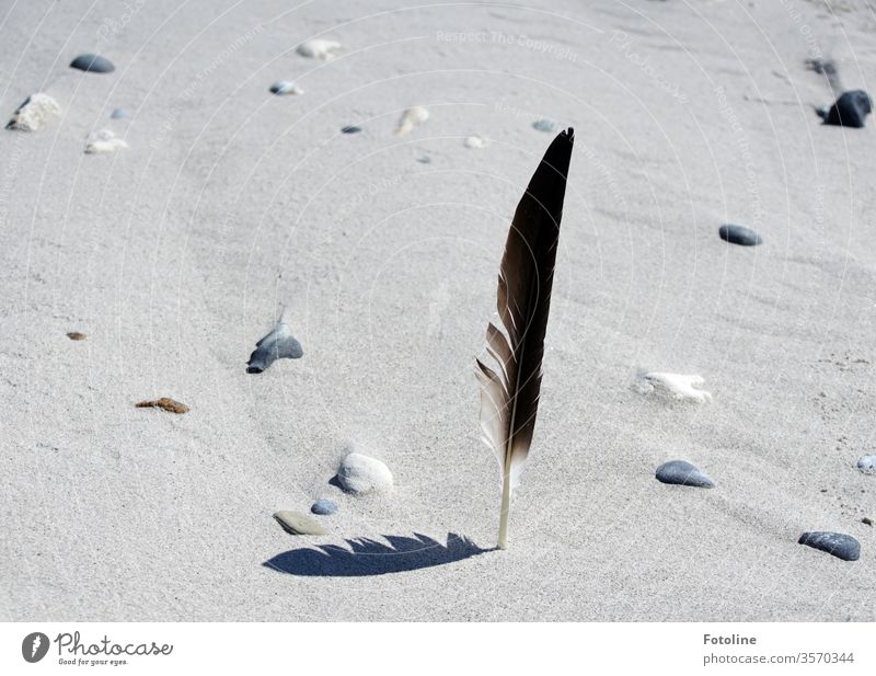 Hourglass brand homemade - or A seagull feather is stuck in the fine beach sand and casts a small shadow. It is accompanied by some well placed stones Feather