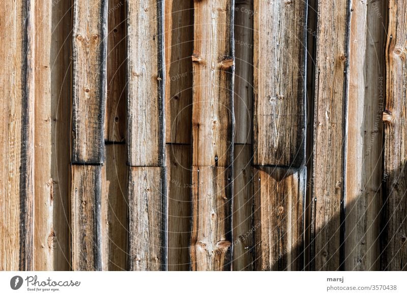 Board wall with shadow in lower right corner wood Wooden wall Wall (building) Wood grain Protection vertical structures Vertical geometric Regular Pattern