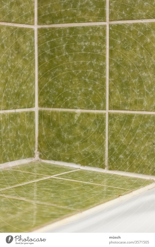 Bathroom tiles green Square White System Corner Wall (building) Pottery Seam Fashion Sanitary Wellness Earthenware Mathematics putty