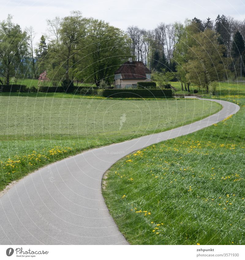 A narrow asphalt road winds through spring meadows into the picture to a house between trees Street curves Alpine panorama trail green