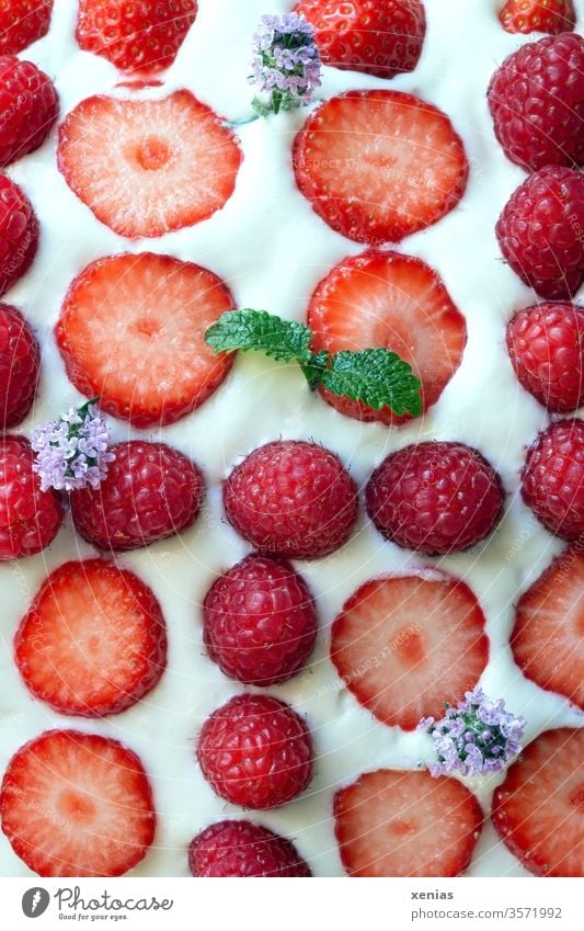 Delicious cream with strawberries and raspberries in a row, decorated with fresh lemon balm and orange thyme Cream Strawberry Organic produce Raspberry