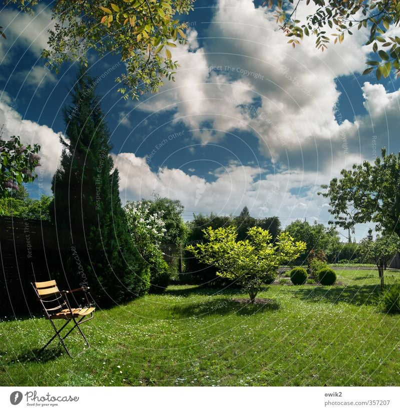 in the garden Environment Nature Landscape Plant Sky Clouds Climate Weather Beautiful weather Tree Grass Bushes Foliage plant Garden Folding chair Garden chair