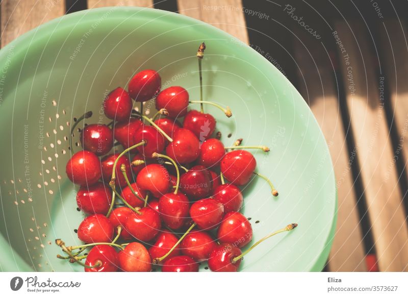 Washed cherries in a turquoise kitchen sieve Red Delicious salubriously Laundered drip off Summer Mature Harvest