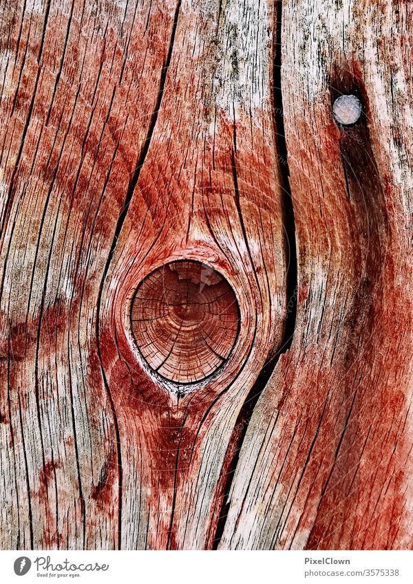 Asteinschluß in einem Holzzaun holz Organic produce Nature Colour photo wodden fence red
