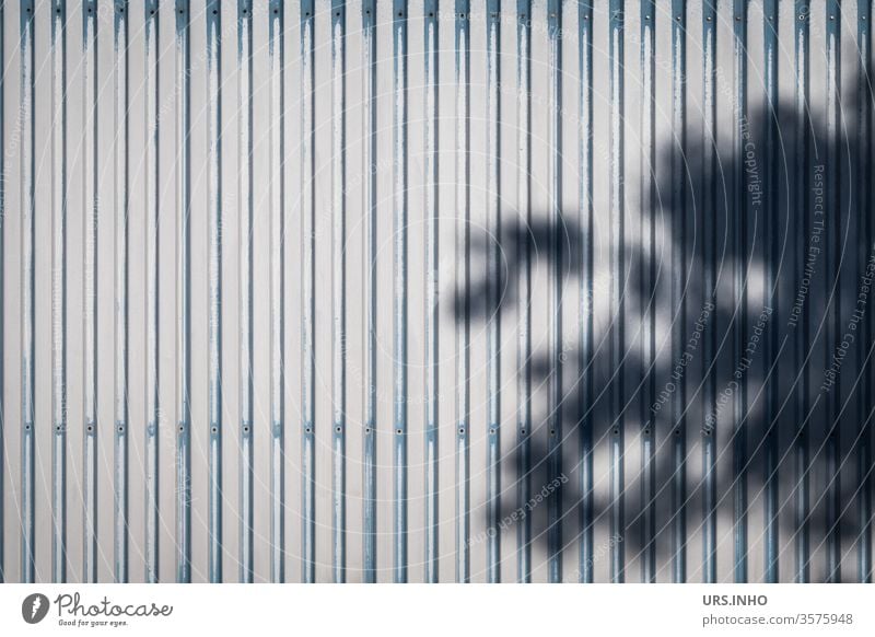 Shadow of a treetop on a corrugated metal facade Light and shadow crimped Tin lines background Background picture Facade Undulating Deserted Pattern