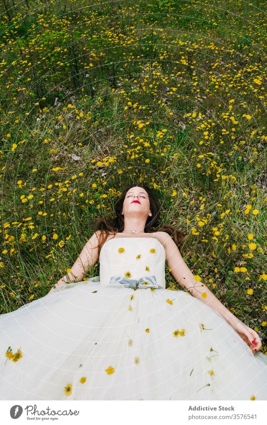 Relaxed bride lying in meadow with flowers groom caress relax dandelion newlywed female blossom together wedding lawn wedding day calm tranquil wedding dress
