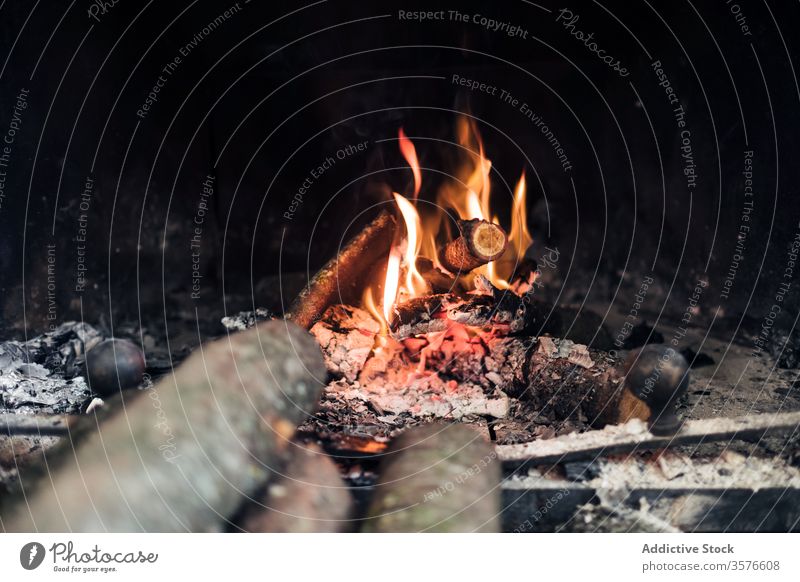 Burning fire and wood in fireplace burn flame firewood bonfire blaze smoke ash glow light bright heat hot flammable log dark fiery fume natural atmosphere stick