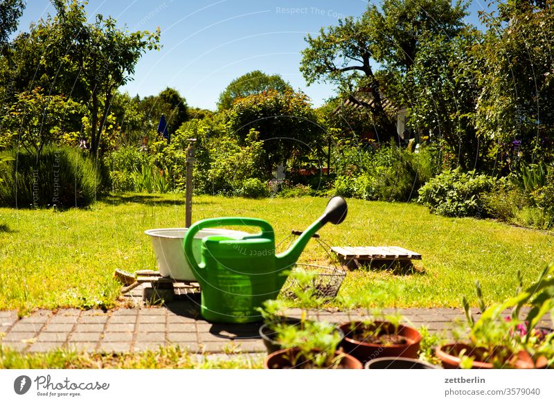 Watering can in allotment garden Branch tree flowers Relaxation holidays Garden Grass Sky Garden allotments Deserted Nature Plant Lawn tranquillity Garden plot