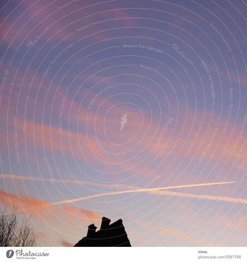 kick back to sleep Sky Clouds Vapor trail House (Residential Structure) tree Perspective tip Pink light blue Moody Evening Twilight blue hour Silhouette Roof