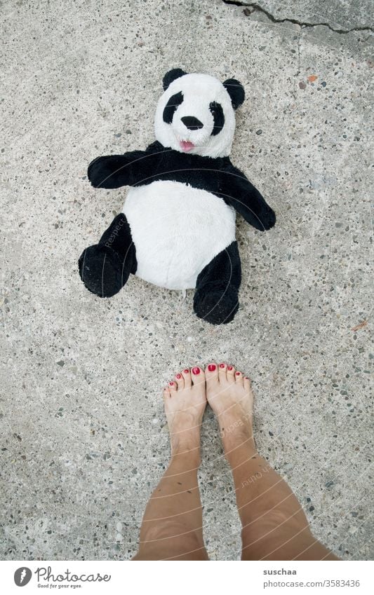 cuddly toy lies on the street and a female person stands in front of it ... Woman feminine Legs foot Barefoot Stand Street Asphalt warm Summer Panda Bear