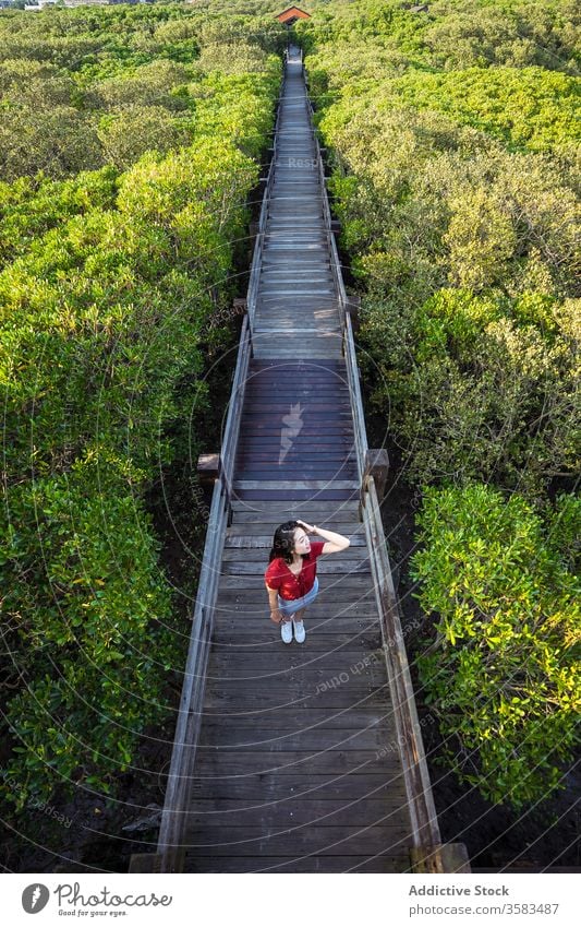 Young traveler standing on wooden bridge over forest tourist tourism picturesque wanderlust harmony woodland touch hair greenery vacation peaceful journey