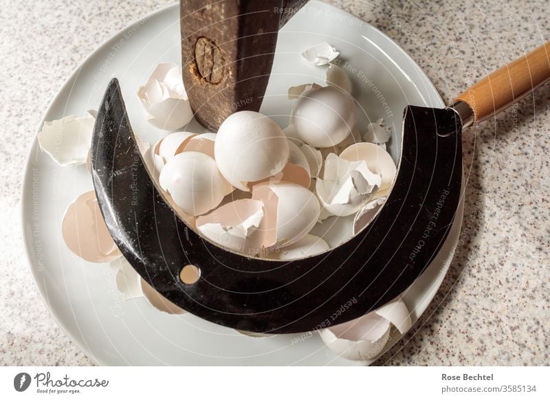 Hammer and sickle on a plate with egg shells Eggshell Plate object of desire hammer and sickle Tool Symbols and metaphors Shatter Colour photo Brown Metal