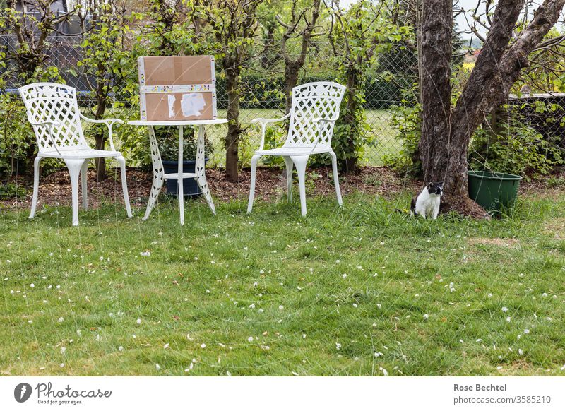 Seat in the garden with package and cat Garden seat green Exterior shot Deserted Colour photo Summer Meadow White Metal Package Cat Apple tree Lawn Outdoors