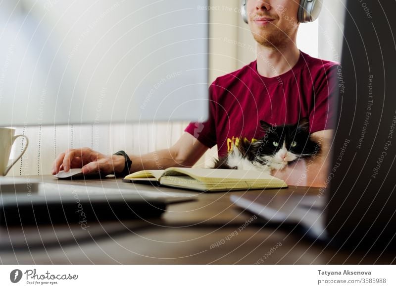 Man working from home with his cat computer business technology laptop office internet desk sitting communication online indoors person professional man modern