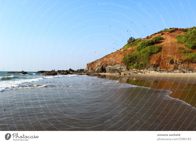 ocean, hill with birds beach sky blue rocks
