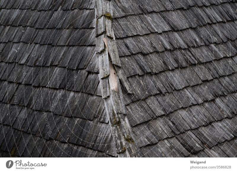 Wooden roof Crime thriller somber Old Historic Roof shingles Celts first Rainy weather conceit Gray brick