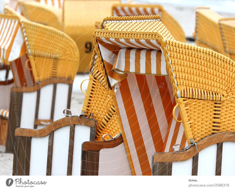 collectively individual beach chair vacation Baltic Sea travel Relaxation Empty Sit recover Break be comfortable Many in common at the same time Roof Protection