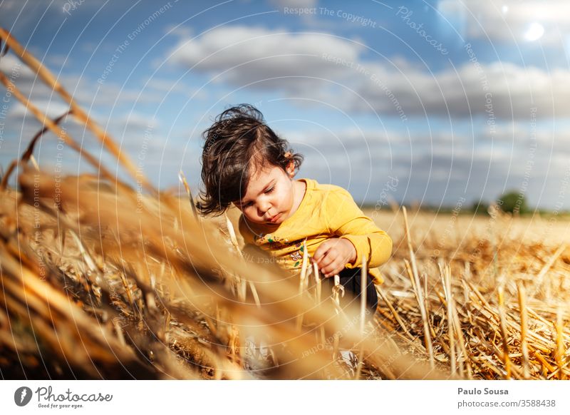Little girl playing in the fields Summer Summer vacation Playing Child Children's game Curiosity Innocent Vacation & Travel Exterior shot Colour photo Joy