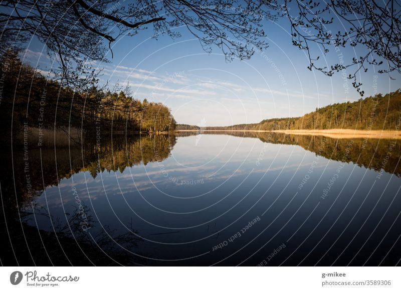 In the morning at the lake Lake Nature Landscape reflection Water Schorfheide Calm Exterior shot Deserted Environment Reflection Day tree silent Colour photo