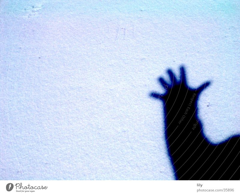 shady hand Hand Salutation Shadow Snow Sun