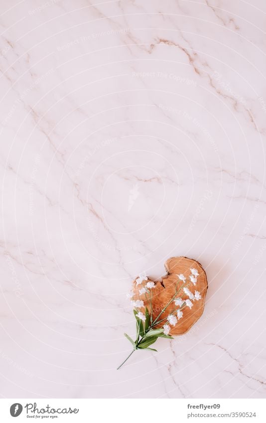 Flat lay of a piece of wood and flowers against a white marble background spring flat lay flatlay copy space copyspace still still life from above objects