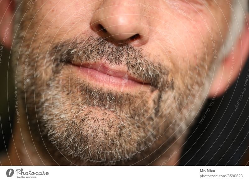 old I er Facial hair Masculine Mouth Lifestyle Gray bearded Hair care Designer stubble Gray-haired Man Face Lips Beard Nose Tip of the nose Chin Skin Aging Age