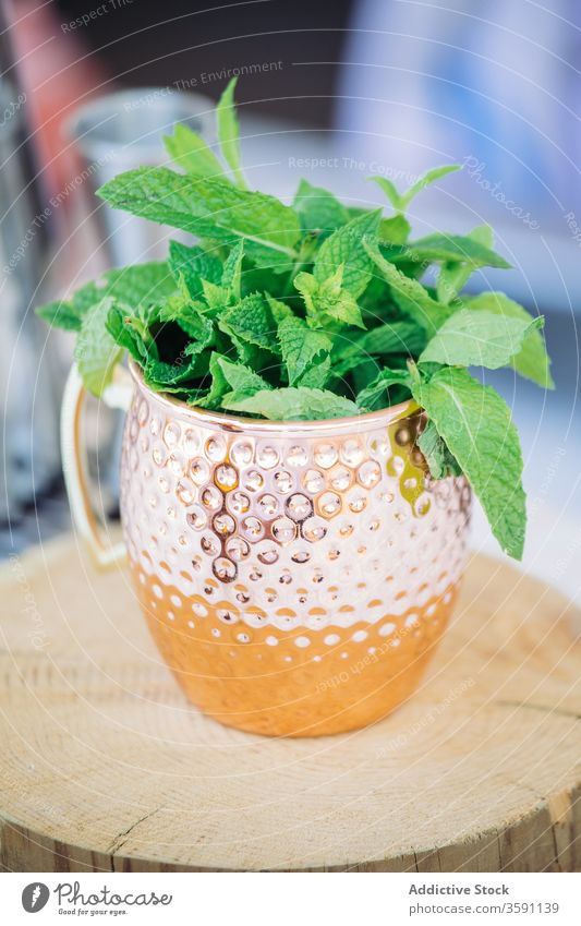 Cocktail mug with mint leaves cocktail drink moscow mule fresh leaf copper green aromatic natural prepare bright recipe flavor herbal culinary product alcohol