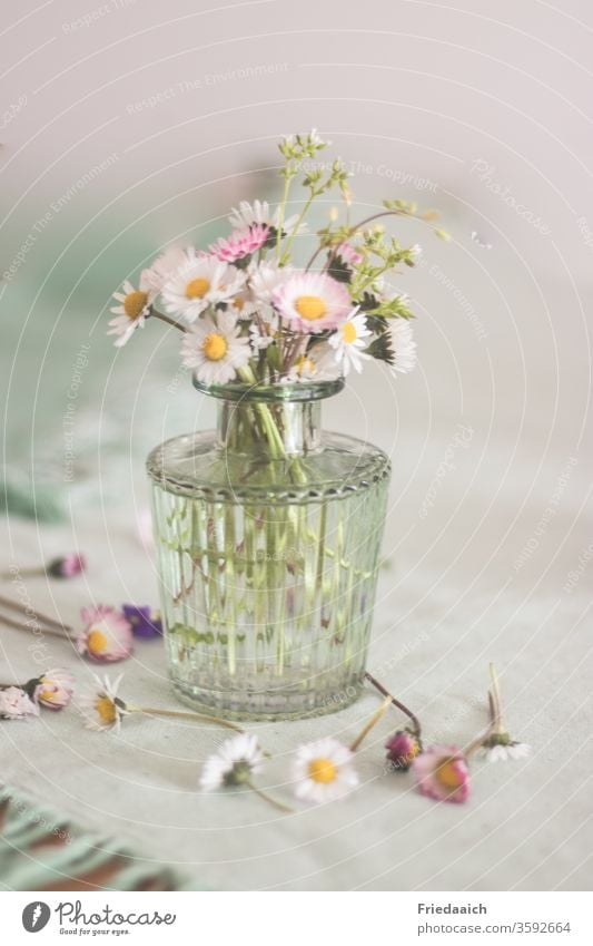 Daisies in the vase Still Life little flowers Vase glass vase Table decoration soft colours Blur Dull enchanting