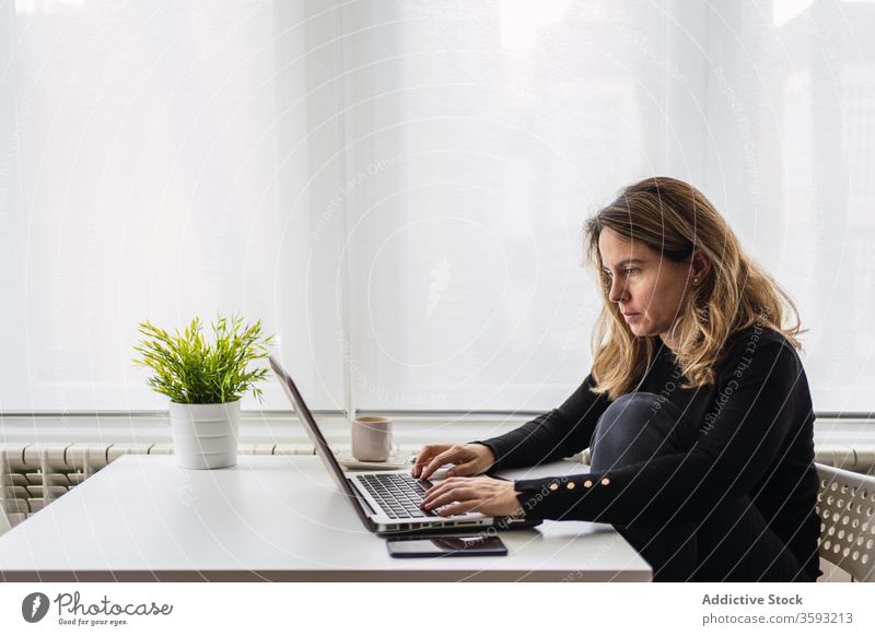Remote employee working with laptop at home woman using online remote busy casual serious table electronic internet connection read female workplace freelance