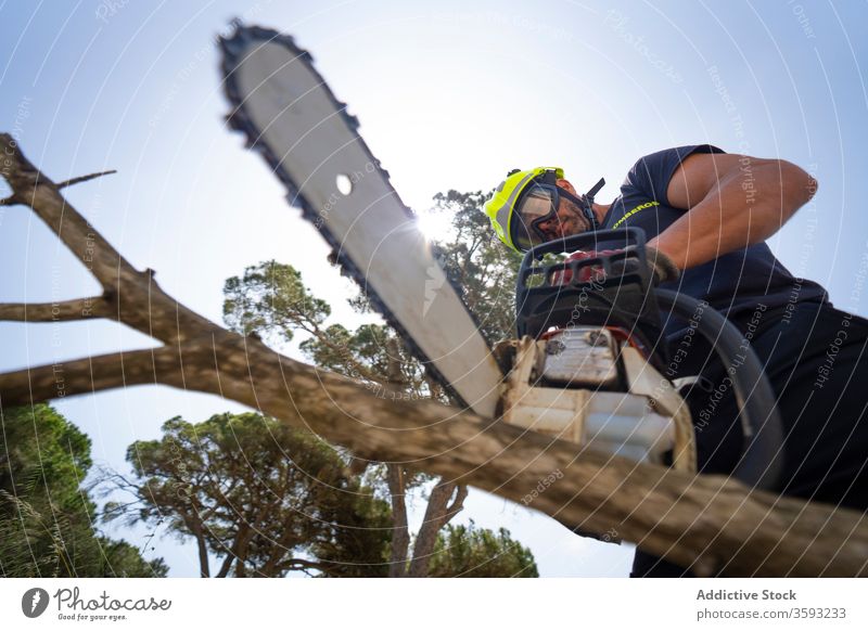 Fireman with chainsaw cutting tree branch woodcut forest fireman firefighter lumberjack sunny male blue sky uniform protect equipment work professional job