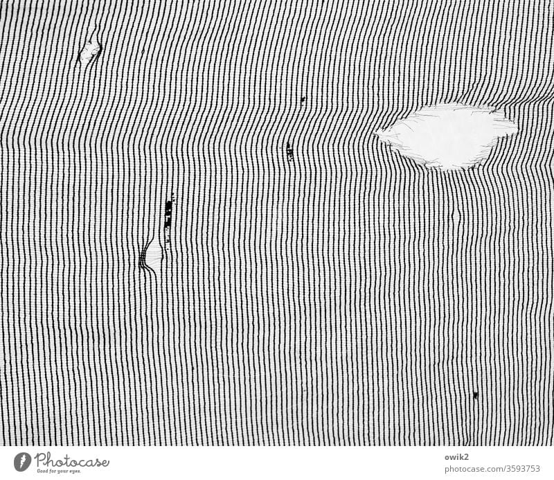 texture Pattern structure lines Black White Parallel Many Unclear puzzling Thin Arrangement Consistent Structures and shapes Abstract Deserted Detail Design