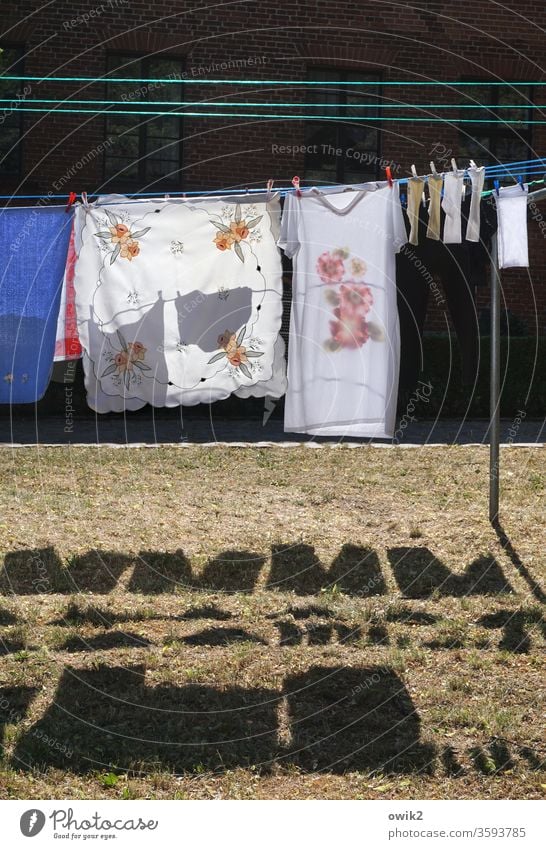 washing day Laundry Textiles Washing day Hang clothesline Meadow Shadow Clothes peg tablecloth socks Night dress Contrast Sunlight Dry Clean Colour photo