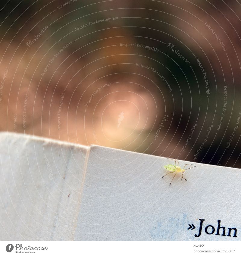 John has a visitor Book Page Paper letter Name little animal Mite Insect Small Diminutive Crawl inquisitorial Colour photo Close-up Reading