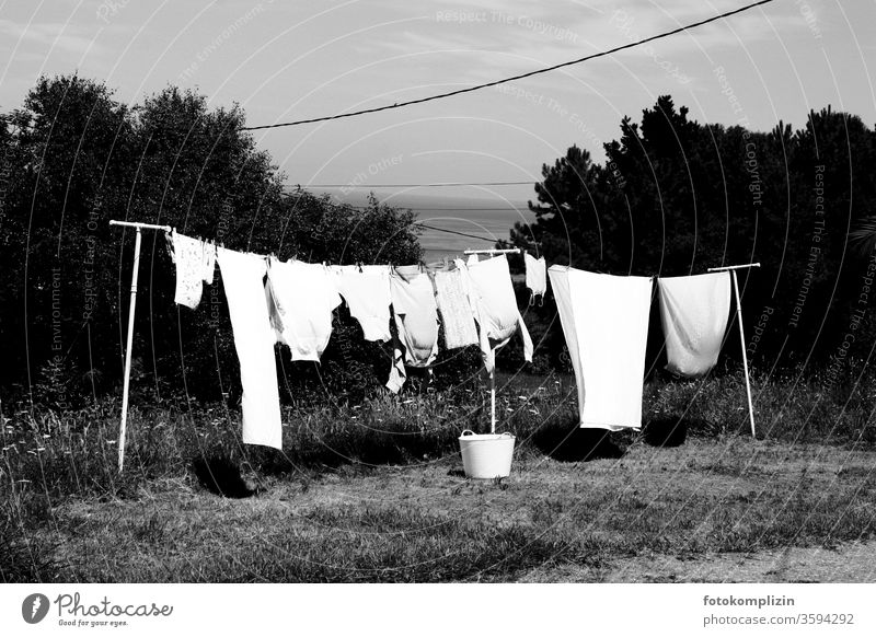 clothesline in the garden with basket Clothesline Laundry Household Washing Clean Dry Housekeeping Washing day Hang up Living or residing Clothing hang
