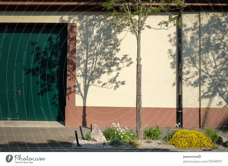 Wall with a shadow play of the trees in front of it Shadow Tree Wall (building) Exterior shot house wall door Shadow play Dark green steep trottoir Light