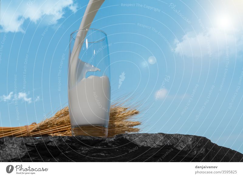 a glass of milk on a stone against the sky and wheat dairy fresh healthy blue nature calcium table organic beverage rustic concept breakfast background